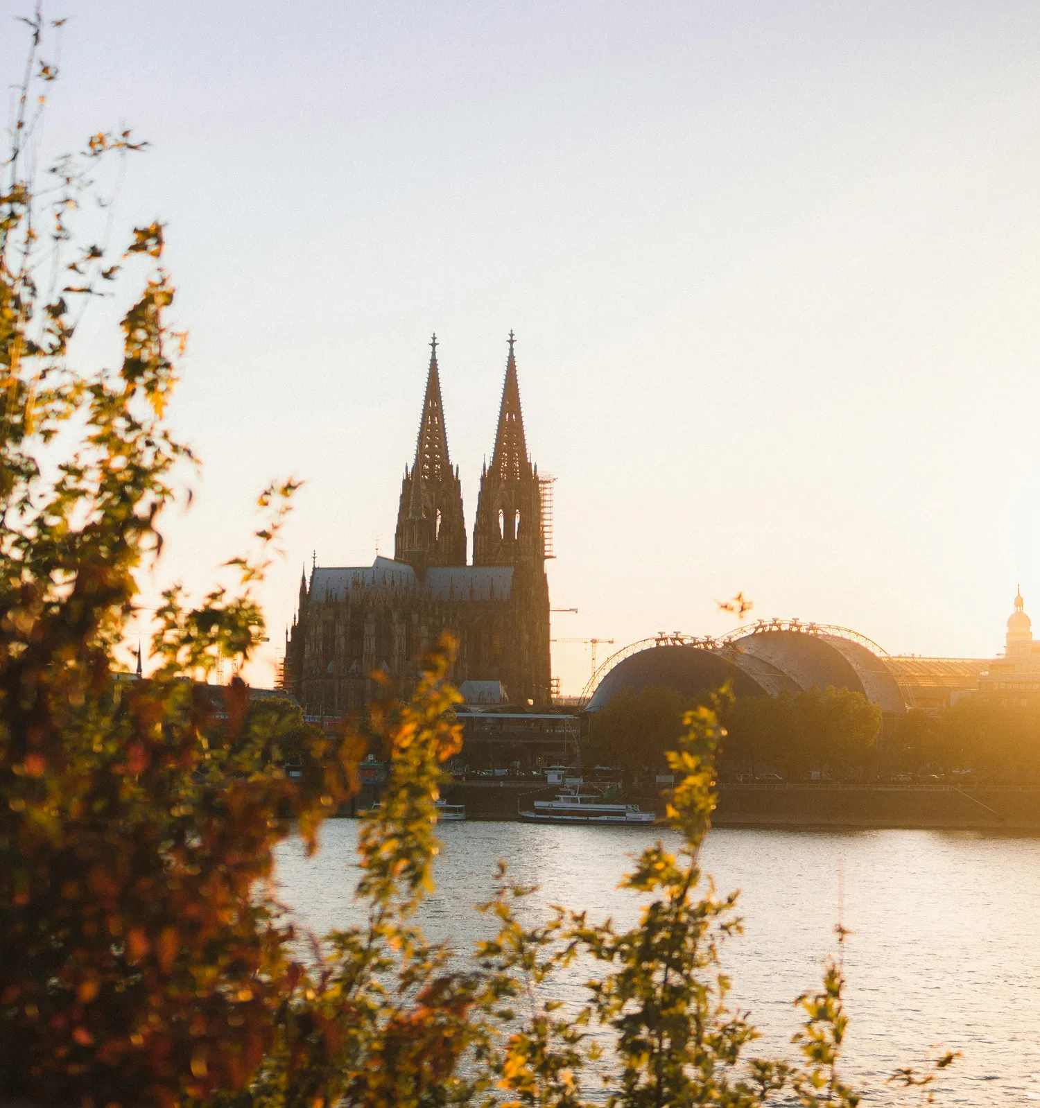 Romantische Sonnenuntergangsaufnahme des Kölner Doms mit seinen gotischen Doppeltürmen, eingerahmt durch herbstlich gefärbtes Laubwerk am Rheinufer bei warmem Abendlicht.